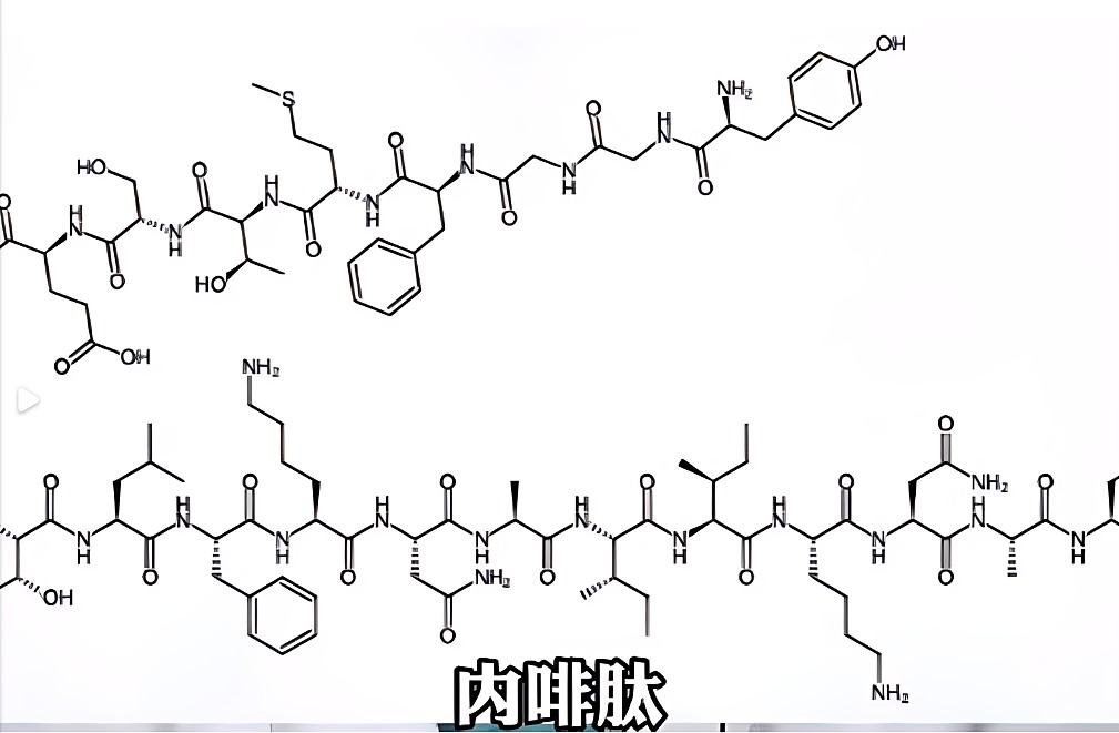 圈子里常說的多巴胺，內啡肽是什么意思?這和事后關懷有什么聯系呢？,004.jpg,字母圈軟件,字母圈app,sub,抖遇,aftercare,第3張